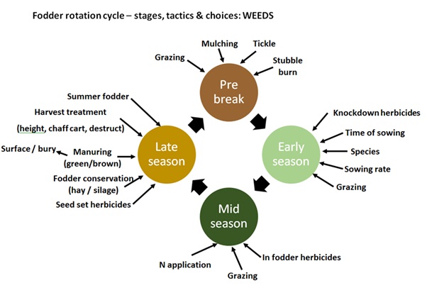 Figure 1. Fodder rotation cycle outlining various options and timings to target weeds.