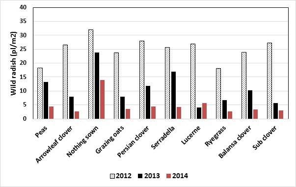 Figure 3. The change in wild radish numbers (pl/m2) after two years of different fodder break crops at Inverleigh, Vic (weeds measured in June 2012, 2013 and 2014).  