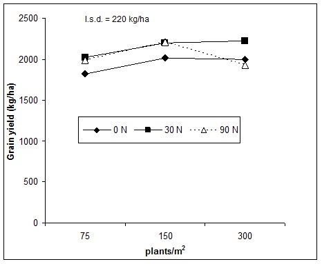 Figure 34. The interaction between nitrogen rate and plant population on grain yield of barley at Condobolin in 2014.