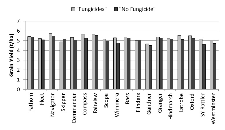 Figure 5. Grain yields for each of the varieties in 'Fungicides' and and 'No fungicides' plots (yields not significantly different between treatments: variety P<0.001, treatment NS; Varx treatment NS).