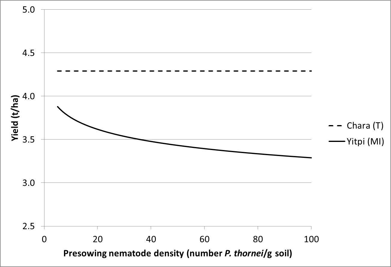 Figure 2. Relationship between grain yield and pre-sowing nematode densities (Pratylenchus thornei) in a tolerant (CharaA) and moderately intolerant (YitpiA) wheat cultivar at Banyena in 2011.