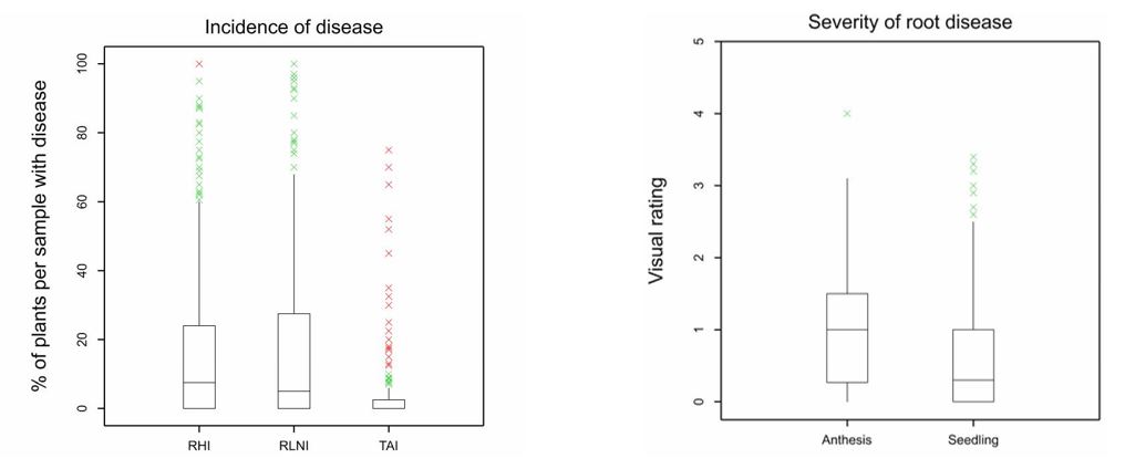 Figure 3. Visual disease observations; % of crop plants with disease = number of plants in each sample with disease (%). Visual rating of severity was area of root diseased (all pathogens combined) 0= none 1=<5% 2=5-25%, 3=25-50%, 4=50-75% 5= 75-100%. RHI = rhizoctonia, RLN = P.neglectus, TAI = take-all. Whiskers and boxes represent 25th percentiles. 