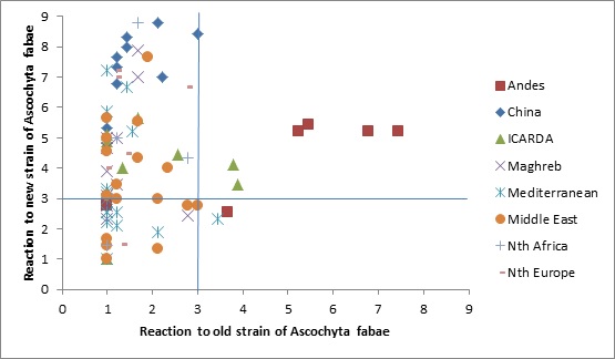 Figure 1. Reaction of faba bean accessions to “old” and “new” isolates of Ascochyta fabae. 