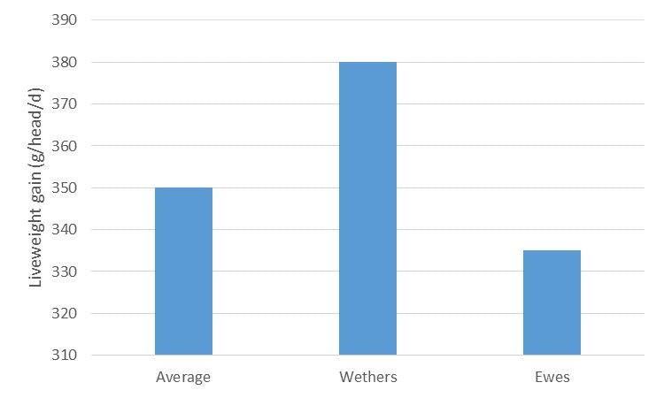Figure 2. Daily weight gain of crossbred lambs shown as average, for wether lambs and for ewe lambs at Beckom NSW in spring 2014 over a 56 day period.