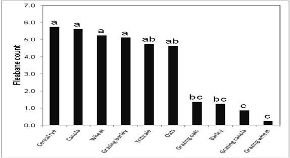 Figure 1. Fleabane counts in plots in March 2014. Areas with no residues averaged 12 plants m-2.