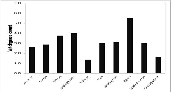 Figure 2. Witchgrass counts in plots in March 2014. Areas with no residues averaged 20 plants m 2.