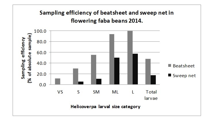 Figure 5. Helicoverpa larvae in flowering faba beans are sampled with differing efficiency. Larger larvae are more easily dislodged with both methods, but smaller larvae are more difficult to assess accurately. The beatsheet sampling method is providing a better estimate of larval density, but is still poor overall.