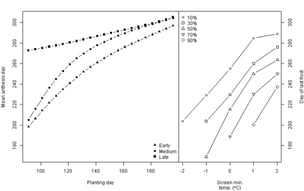 Figure 5. Left: Simulated flowering dates as a function of planting date (1 April = day 90; 15 July = day 197) for an early (e.g. cv ‘Axe’), medium (e.g. cv ‘Yitpi’) and a late (e.g. cv ‘Rosella’) maturing wheat variety at a Birchip (DS) site. Right: Corresponding frost probabilities, based on the entire temperature record for the period 1961 to 2013.