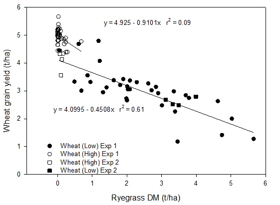 Figure 1. Relationships between ryegrass dry matter (DM) and wheat grain yield following high  and low input treatments in wheat in 2013 at two locations in southern NSW. 