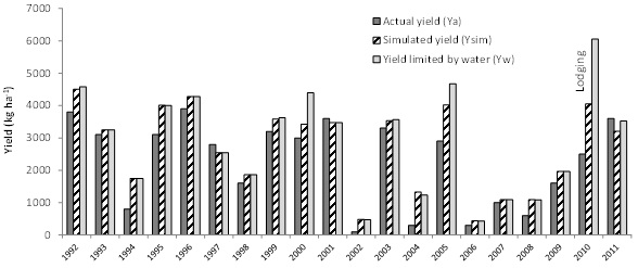 Figure 2.  Actual paddock yield (Ya), simulated yield (Ysim same inputs as actual) and potential yield (Yw, unlimited N) for the southern Mallee farm (1992 to 2011). 