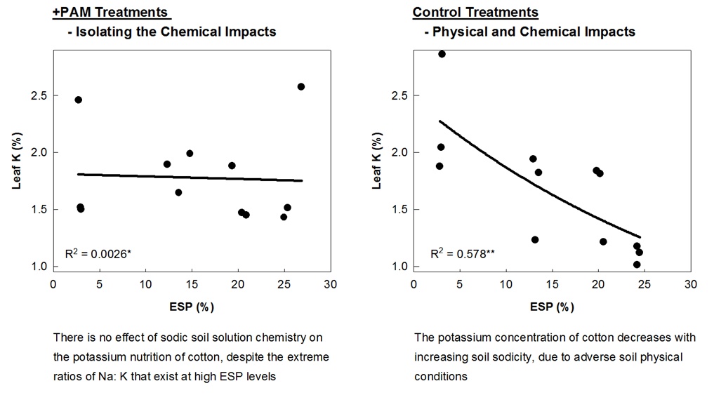 Figure 2. Isolating the physical effects of sodicity on leaf K demonstrates the dominant role soil physical conditions play on management of sodic soil nutrition.