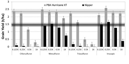 Figure 1: Effect of various Group B chemistries applied PSPE at 4 application rates on the grain yield of PBA Hurricane XTA and NipperA lentils, Pinery, 2013. Solid horizontal line indicates untreated variety yield, with shading showing associated error.