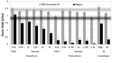 Figure 2: Effect of various Group B chemistries and application rates on grain yield of PBA Hurricane XTA and NipperA lentils, Pinery, 2013. 'Residual' treatments were applied on the 25th of March, PSPE treatments were applied on the 26th of May. Solid horizontal line indicates untreated variety yield, with shading showing associated error. 
