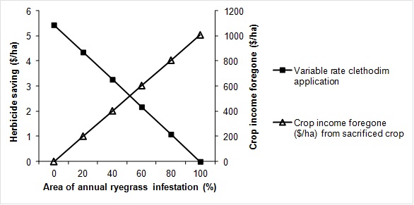 Figure 2. Herbicide saving from variable rate application of clethodim based on average savings in three paddocks to achieve a head density less than 20 heads/m2 and the sensitivity to area of infestation compared with the opportunity cost of desiccating high density annual ryegrass patches in lentils where sufficient ryegrass mortality rates cannot be achieved with clethodim.