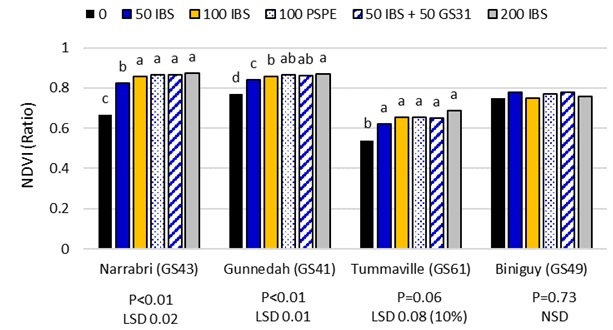 Figure 1. Effect of N rate (kg N/ha), application method and timing on NDVI from urea alone in 2014