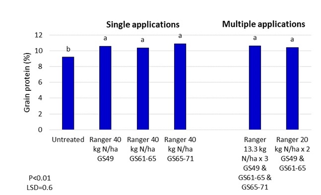 Figure 10. Effect of multiple late nitrogen application on grain protein level, Mullaley 2014