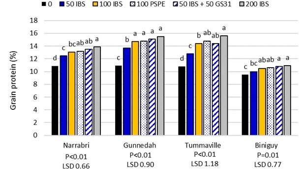 Figure 5. Effect of N rate (kg N/ha), application method and timing on grain protein from urea alone in 2014