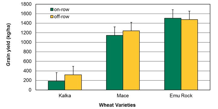 Figure 2. Mean grain yield for three wheat varieties sown on and off the previous year’s wheat row. Vertical bars are least significant difference (lsd). 