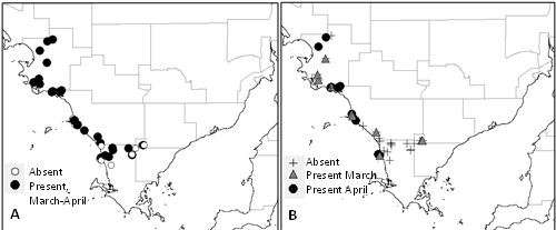 Figure 1: Locations where (A) male DBM moths were detected in pheromone traps near wild hosts, and (B) DBM larvae were collected from wild hosts, on western Eyre Peninsula in March and April 2014