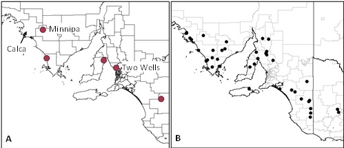 Figure 3: Locations of (A) light trap network in South Australia, and (B) the network of sentinel canola fields monitored to determine the timing of canola crop colonisation by DBM in 2014. 