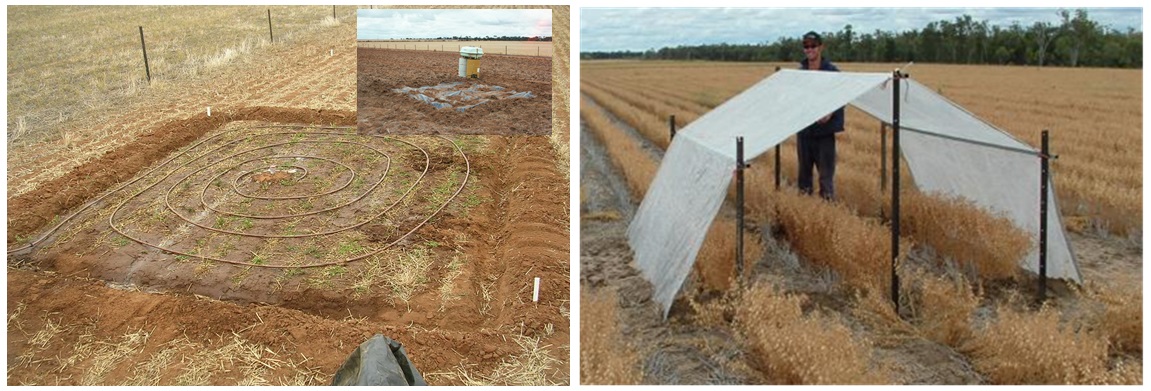 Figure 1. Wetting up for DUL determination and rainout shelter used for CLL determination.