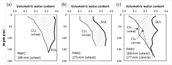 Figure 2. Examples of PAWC characterisations in southern NSW: (a) The heavy clay soils of the Bland have a large PAWC ‘bucket’ as shown here for APSoil site 693 from West Wyalong. A similar size PAWC was obtained for another cracking clay soil near Grogan, but there will be some variation within the Bland following alluvial landforms. (b) Many soils in the region are so-called duplex soils characterised by a strong texture contrast between surface soil (lighter) and subsoil (heavier). These are characterised by a ‘kink’ in the PAWC profile, as demonstrated by the characterisation of this APSoil site 211 from Rand. (c) Very few characterisations in southern NSW have been done for different crops at the same site. This characterisation from APSoil site564YP from Junee Reefs suggests similar extraction by canola and wheat.