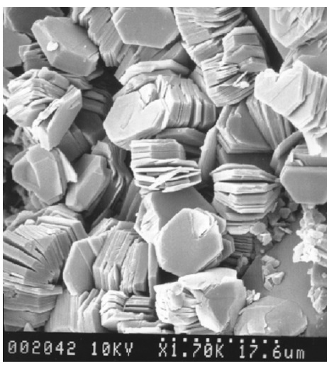   Plate 1. Scanning electron micrograph of aggregated clay platelets.