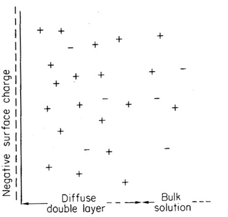 Figure 2.  A representation of (lower) the distribution of cation and anions in the soil solution (analogous to Figure 1b), and (upper) a graph of the concentration of anions and cations with distance from the soil surface.  In the diffuse double layer there is a higher concentration of cations than anions, while in the bulk solution the concentration of anions and cations is equal (represented by the dotted line). (This and following images are from van Olphen 1977 – I do not suggest that you read this, I am just acknowledging where I copied the figures from).