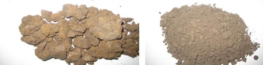 Figure 1. Changes in the appearance of the subsoil at 30-40 cm depth, sampled four years after subsoil manuring was carried out. Untreated subsoil on the left, treated on the right.