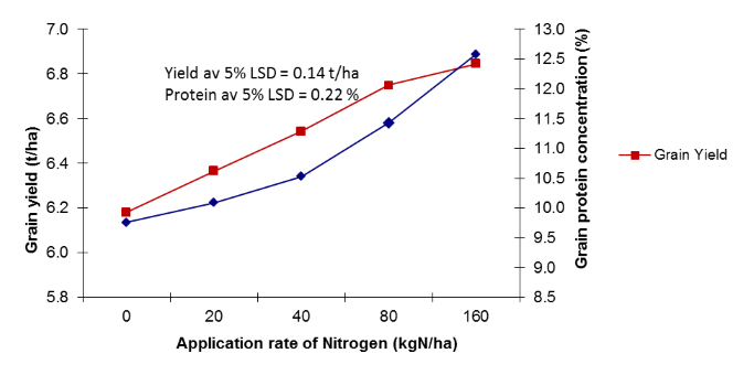 Figure 4. Grain yield (t/ha) and grain protein concentration (%) for five upfront rates of applied nitrogen (kgN/ha) sown at Tamarang in 2014.