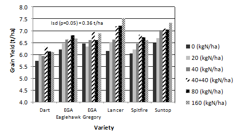 Figure 5. Grain yield (t/ha) response to differing rates of nitrogen (kgN/ha) over six wheat varieties sown at Tamarang in 2014.