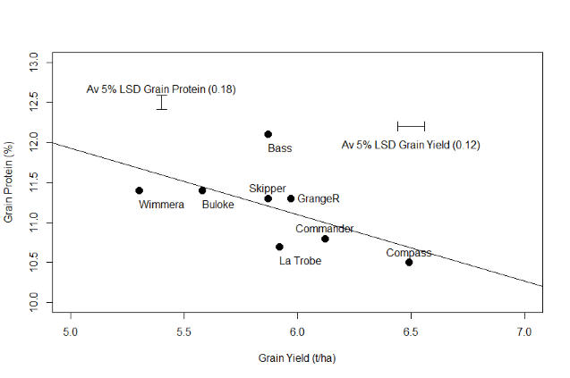 Figure 8. Linear relationship between grain yield (t/ha) and grain protein concentration (%) for varieties sown at Spring Ridge in 2014.