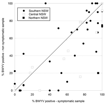 Figure 1. Comparison of paired (virus symptomatic v non-symptomatic) samples from 58 canola paddocks in three NSW regions for BWYV incidence, 2014.