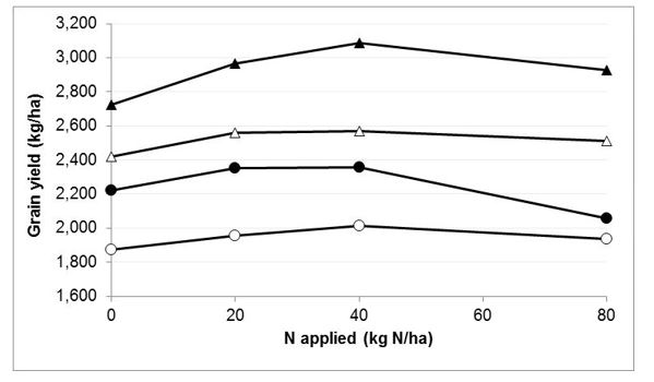 Figure 1 Effect of increasing nitrogen on grain yield (closed symbols -barley, open symbols -wheat) at Wongan Hills on canola stubble (triangles) and wheat stubble (circles).  On cereal stubble, LSD (0.05) = 117kg between cereals, 96kg within each cereal. On canola stubble, LSD(0.05) = 93kg between cereals, 84kg within each cereal.