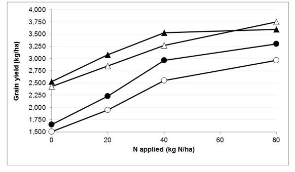 Figure 2 Effect of increasing nitrogen on grain yield (closed symbols -barley, open symbols -wheat) at Cunderdin on canola stubble (triangles) and wheat stubble (circles).  On cereal stubble, LSD (0.05) = 213kg between cereals, 209kg within each cereal. On canola stubble, LSD(0.05) = 265kg between cereals, 299kg within each cereal.