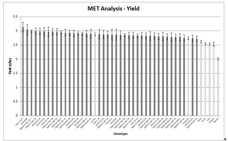 Figure 1. MET analysis of yield of yield from all trials showing genotypes with yield equal to or exceeding Suntop . Entries indicated by ** yielded significantly better than Suntop .