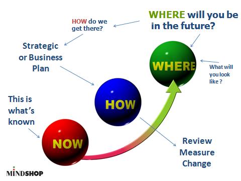 Figure 1. The now, where and how, business planning strategy. Source: Mindshop.