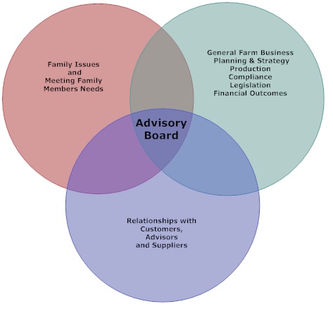 Figure 3. Advisory boards can bring independent thought to a family business.