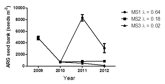 Figure 2. Effect of different long-term weed management strategies on pre-sowing (March) ARG seed bank at Roseworthy from 2009 to 2012 under three different management strategies (MS). 