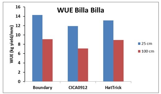 Figure 2. The effect of row spacing and cultivar on water use efficiency at Billa Billa, winter 2014  (LSD 5% = 6.72)
