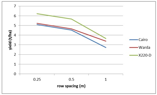 Figure 4. Effect of row spacing and cultivar on yield of faba bean, Garah, winter 2014 (LSD 5% = 0.84)