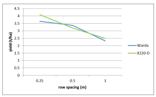 Figure 5. Effect of row spacing on yield of two faba bean varieties, Warra, winter 2014  (LSD 5% = 0.52)