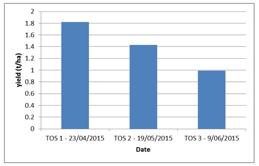 Figure 6. Effect of time of planting on yield of faba bean, Dalby, 2014 winter (LSD = 0.593, P=0.05)