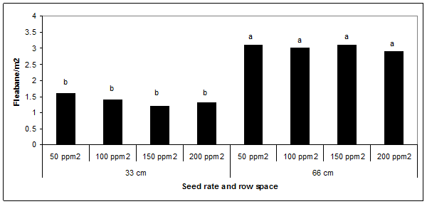 Figure 1. Effect of row spacing and plant population on fleabane population at Trangie in 2011 (NSW DPI)