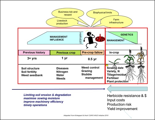 Figure 4: Management considerations in deciding how to manage stubble. Summarising available options to remove stubble