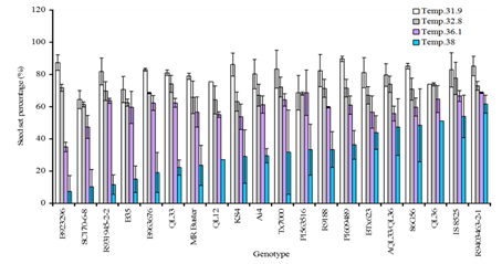 Figure 2. Effect of a range of high temperature treatments on seed set percentage for a diverse set of sorghum genotypes.