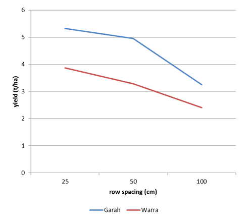 Figure 1. Effect of row spacing and cultivar on yield of fababean, Garah, winter 2014