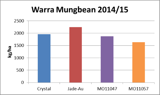 Figure 12. Warra 2014/15 mungbean variety yields, all row spacings (LSD 5% 562 kg)
