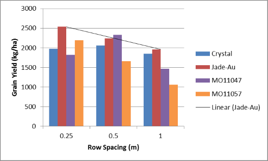 Figure 13. Warra 2014/15 mungbean grain yields variety x row spacing (LSD 5% 704kg)