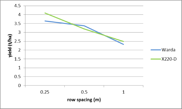 Figure 2. Effect of row spacing on yield of two faba bean varieties, Warra, winter 2014 (LSD 0.0527)